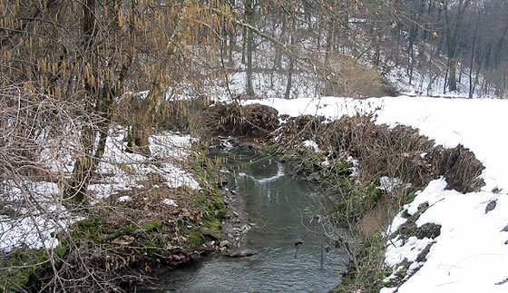 Cant (CO) - Torrente Serenza, reticolo idrico minore