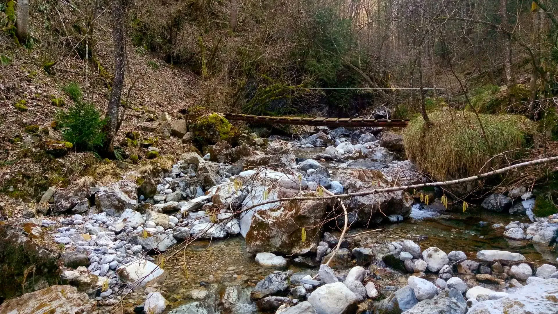 Alveo di torrente montano